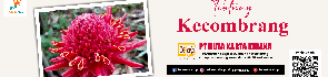 Dekaka Shop